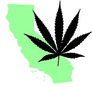 Bundesstaat Kalifornien und die Marihuana - Hanf Debatte zur Legalisierung
