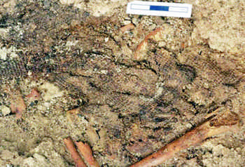 Angebliche Hanftextilien aus Çatalhöyük, die eigentlich Flachs sind