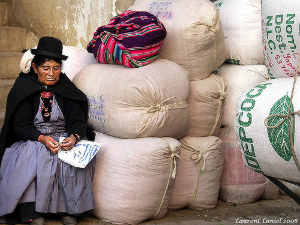 Coca Leafs on Market