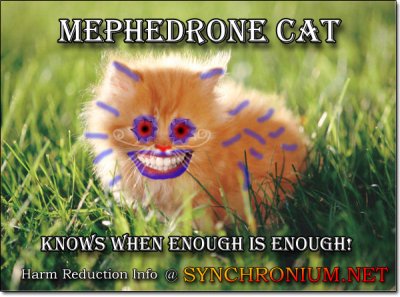 Mephedrone Cat weiss wann es genug ist!