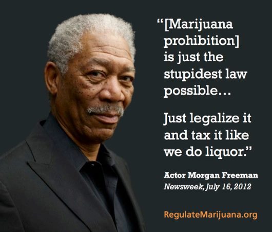 Diese Grafik mit Morgan Freeman zur Legalisierung von Cannabis verbreitet sich zur Zeit sehr schnell in den sozialen Netzwerken