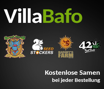 Villabafo Samen Kaufen Banner